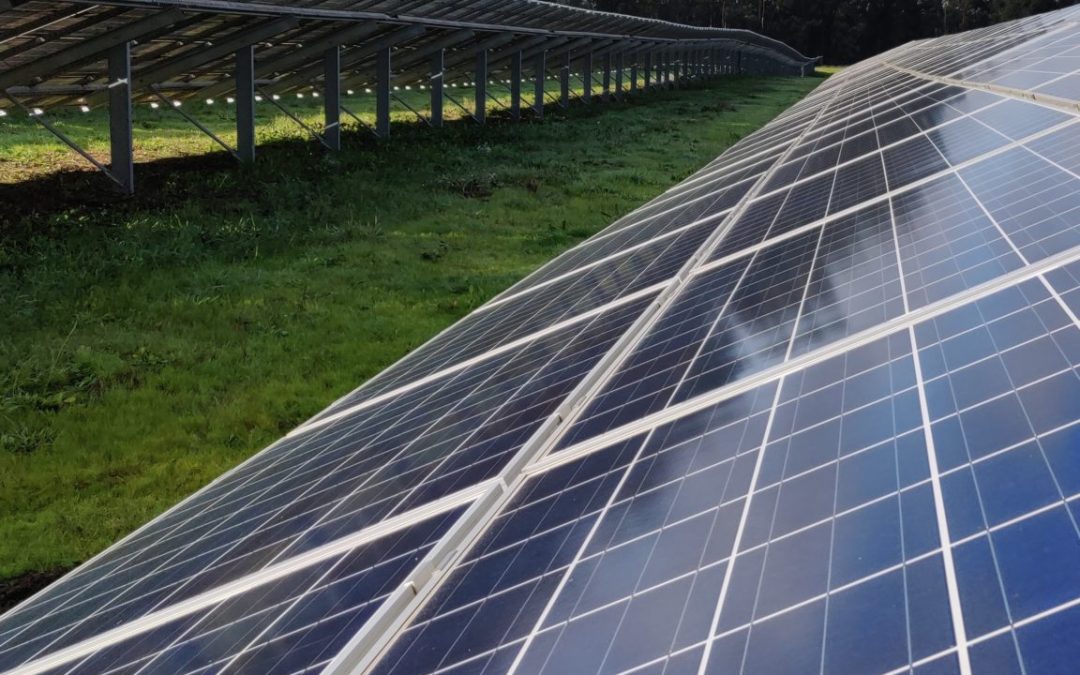 BNZ will build a 45MW solar PV plant in Lazio – Italy