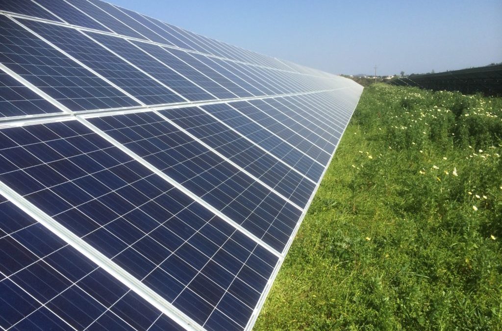 BNZ will build a 49MW solar PV plant in the North Region – Portugal