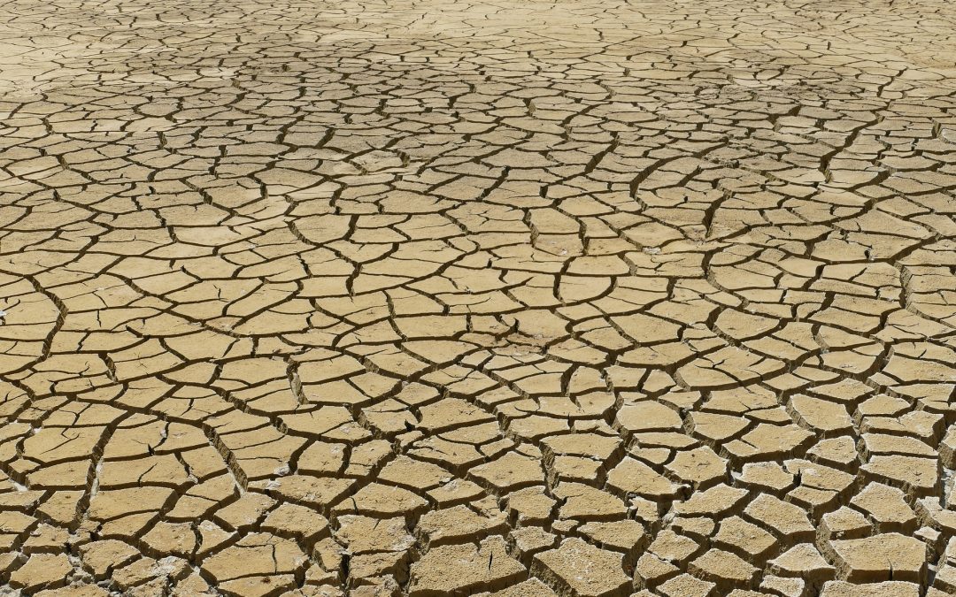 As luzes e sombras dos resultados do IPCC para o Sul da Europa