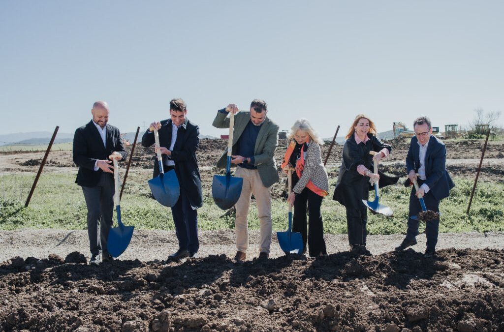 BNZ starts construction of 74 MW solar photovoltaic plant in Cádiz, Spain