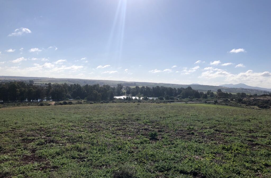 BNZ starts construction of two 9.6MW solar photovoltaic plants in Mérida (Extremadura)