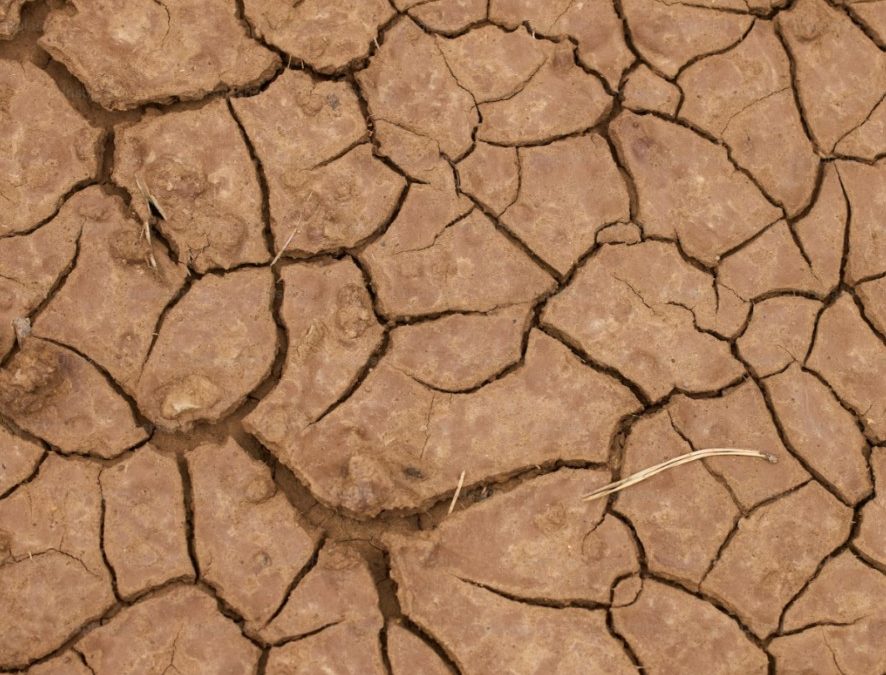 How solar panels can be the alternative to tackle drought and mitigate its effects