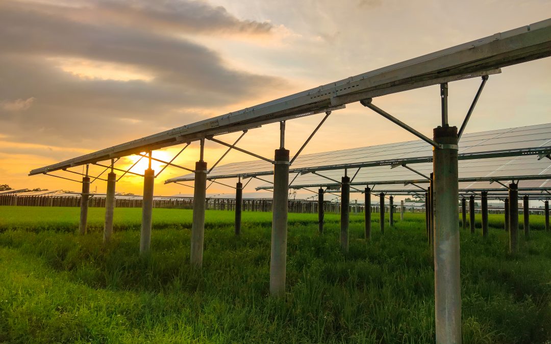 BNZ svilupperà quattro progetti fotovoltaici ad Almeria con una capacità installata totale di 182 MWp