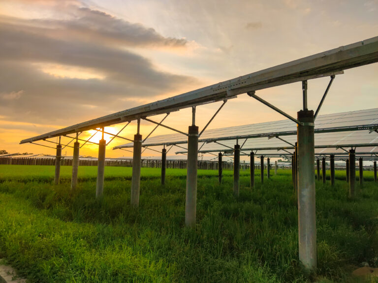 BNZ to develop four photovoltaic projects in Almeria with a total installed capacity of 182 MWp