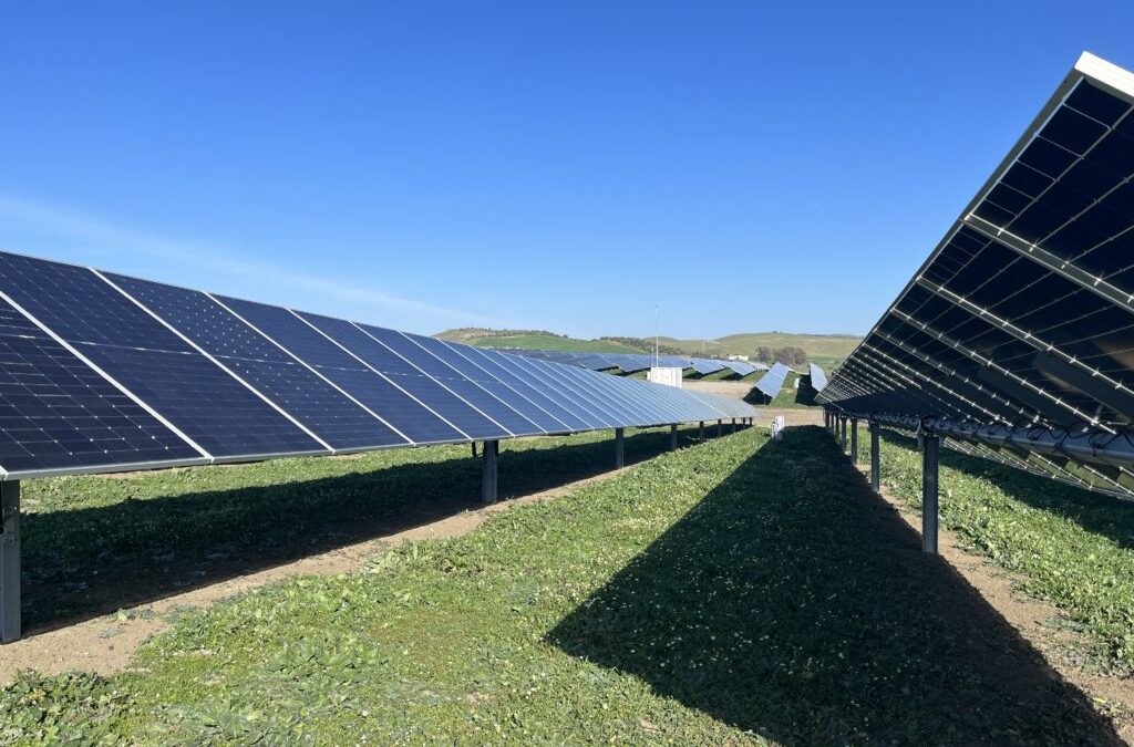 BNZ secures Europe’s first multi-country Total IPP Financing (TIPPF) of over €680M, comprised of a €420M green senior warehouse and up to €260M Holdco facility