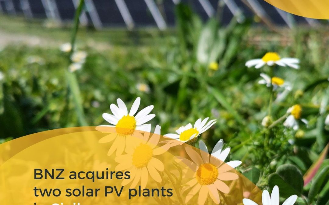 BNZ acquires two solar PV plants in Sicily from GreenGo as a further commitment to develop renewables in Italy