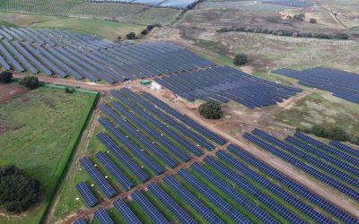 BNZ signs EPC contract for the solar photovoltaic plant in Muro, Trofa
