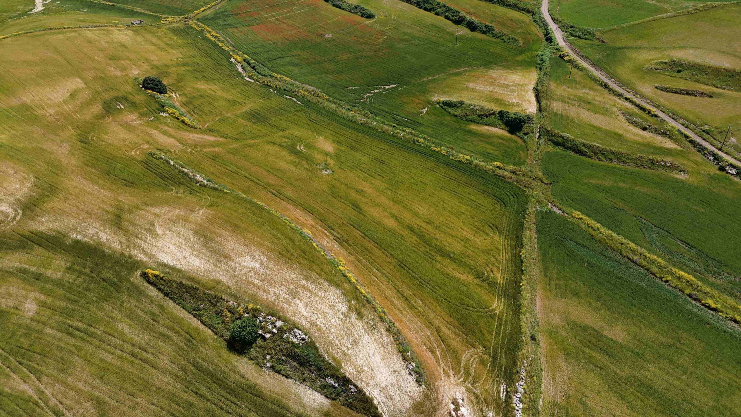 DJI_20250507123150_0076_D