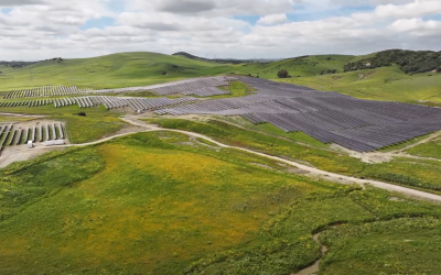 BNZ signs two new international PPAs and strengthens its global portfolio